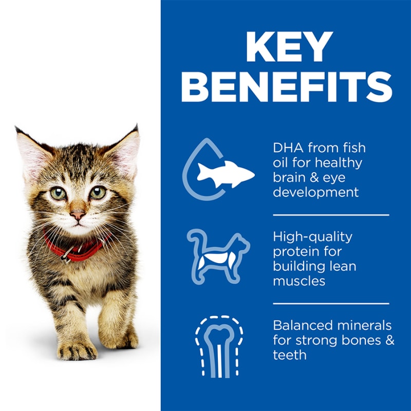 Hill's science diet healthy hotsell development kitten