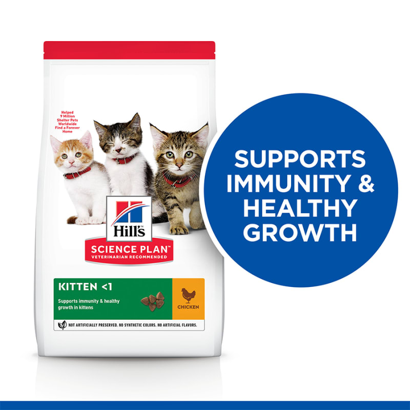 Hills science kitten food hotsell