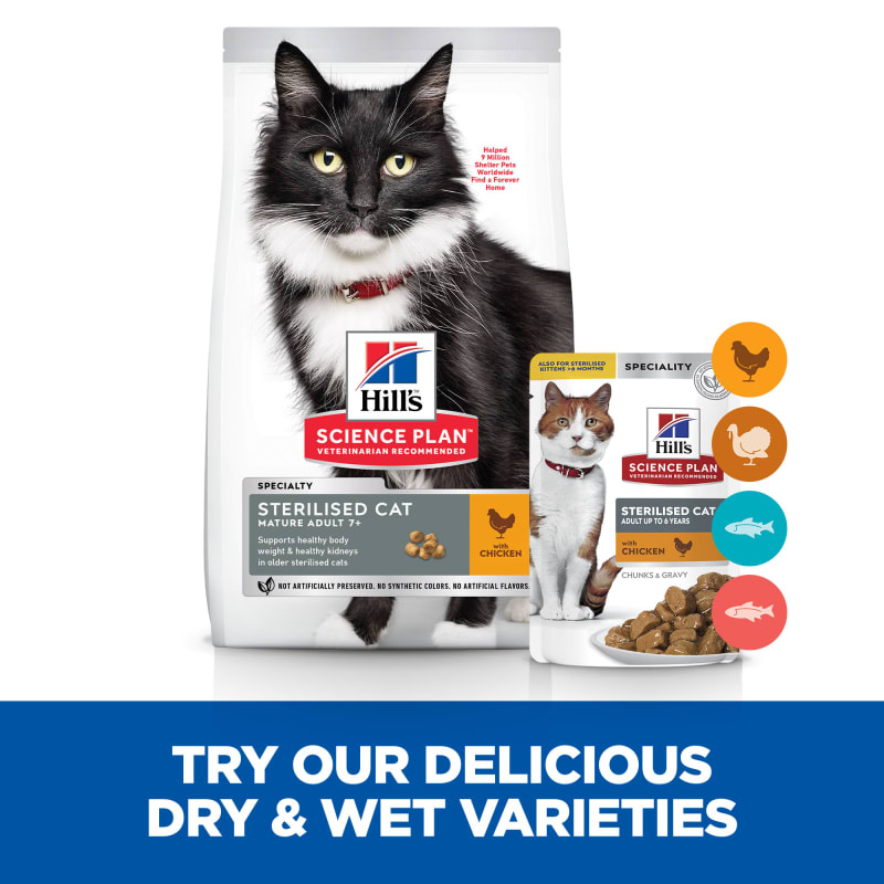 Hills sterilised best sale cat food