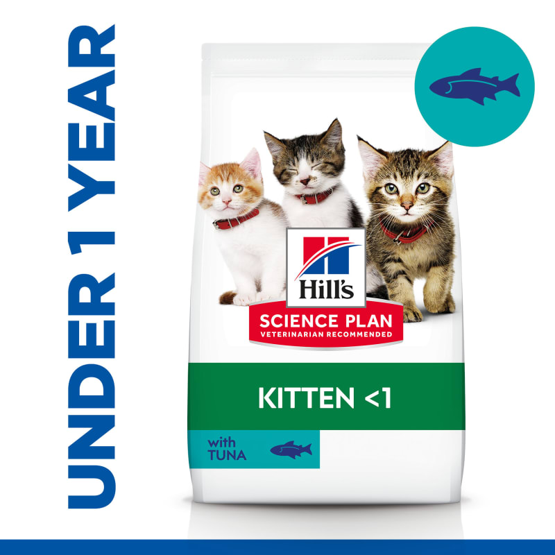 Hill s Science Plan Kitten 1 Dry Pet Supermarket