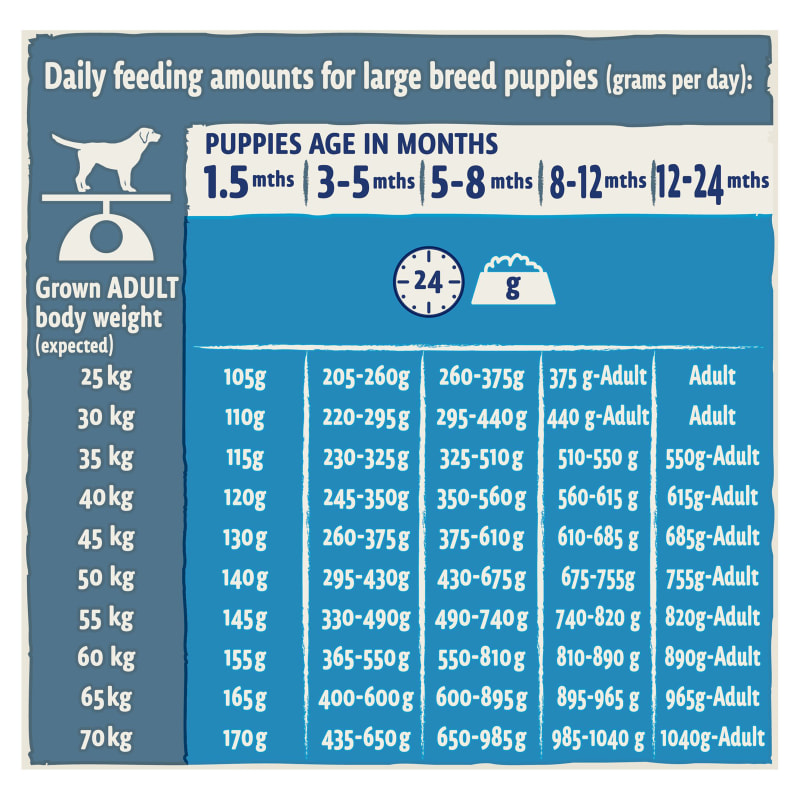 Purina one large clearance breed puppy