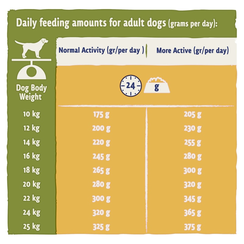 Purina Beta Adult 1 Dry Dog Food Pet Supermarket