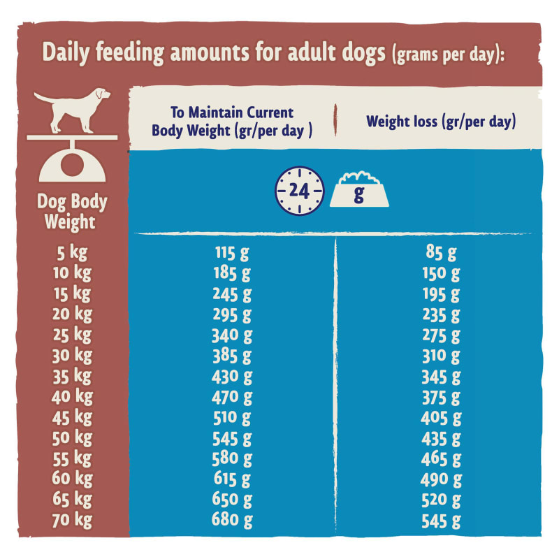 Beta light dog food store