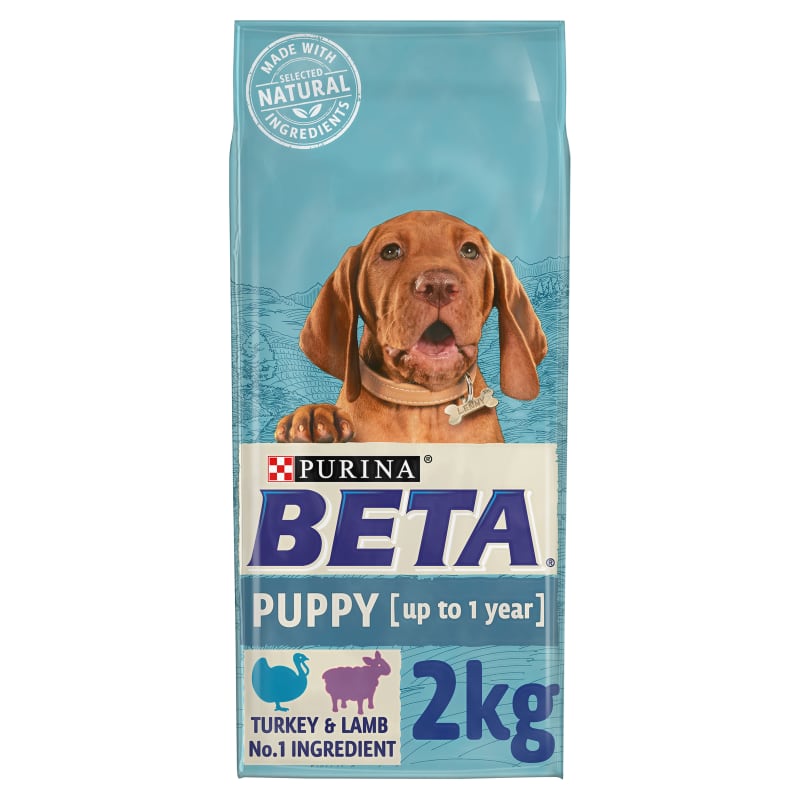Beta puppy hotsell