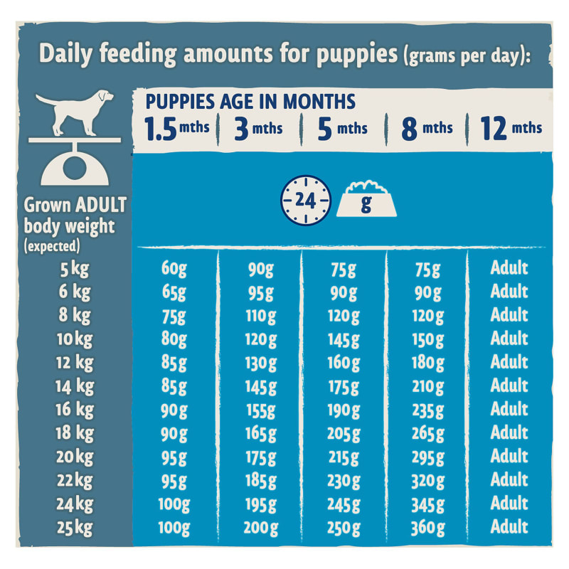 Beta puppy food 2kg outlet