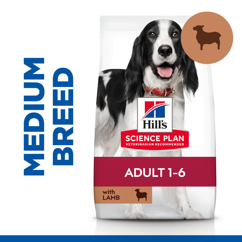 Benefits of lamb outlet and rice dog food