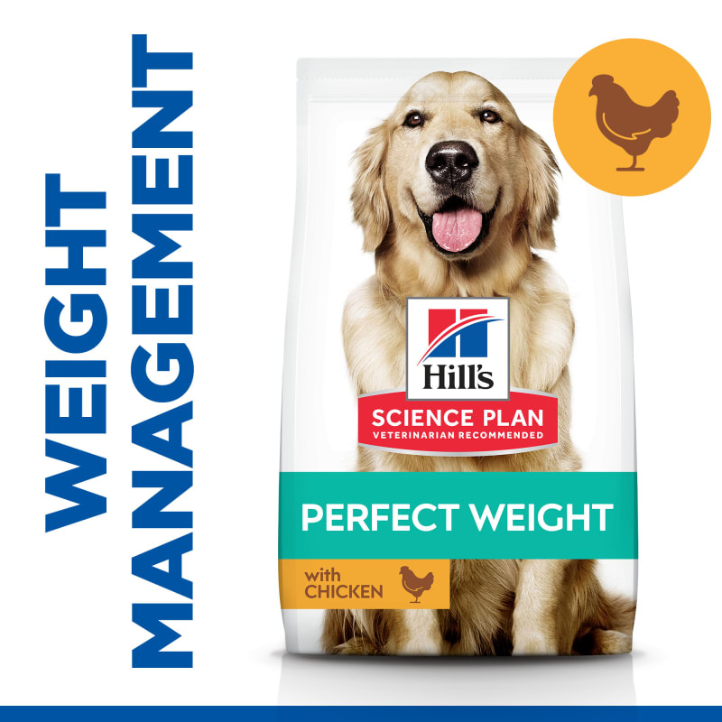 Hill's ideal balance dog food 12kg sales