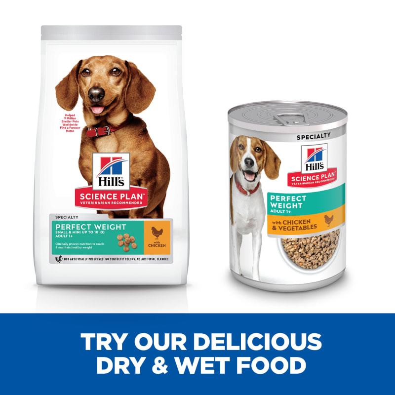 Hill's science sales diet dachshund