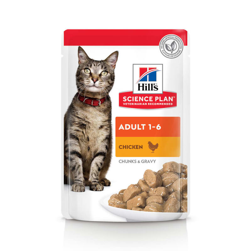 Hills satiety cat food top