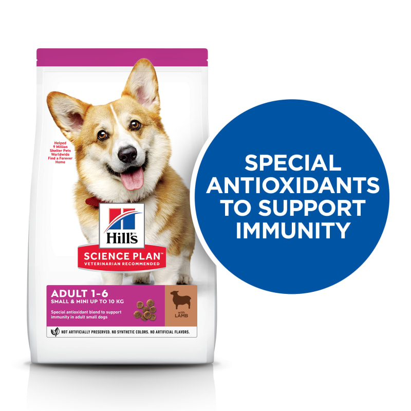 Hill's science plan puppy small best sale & miniature