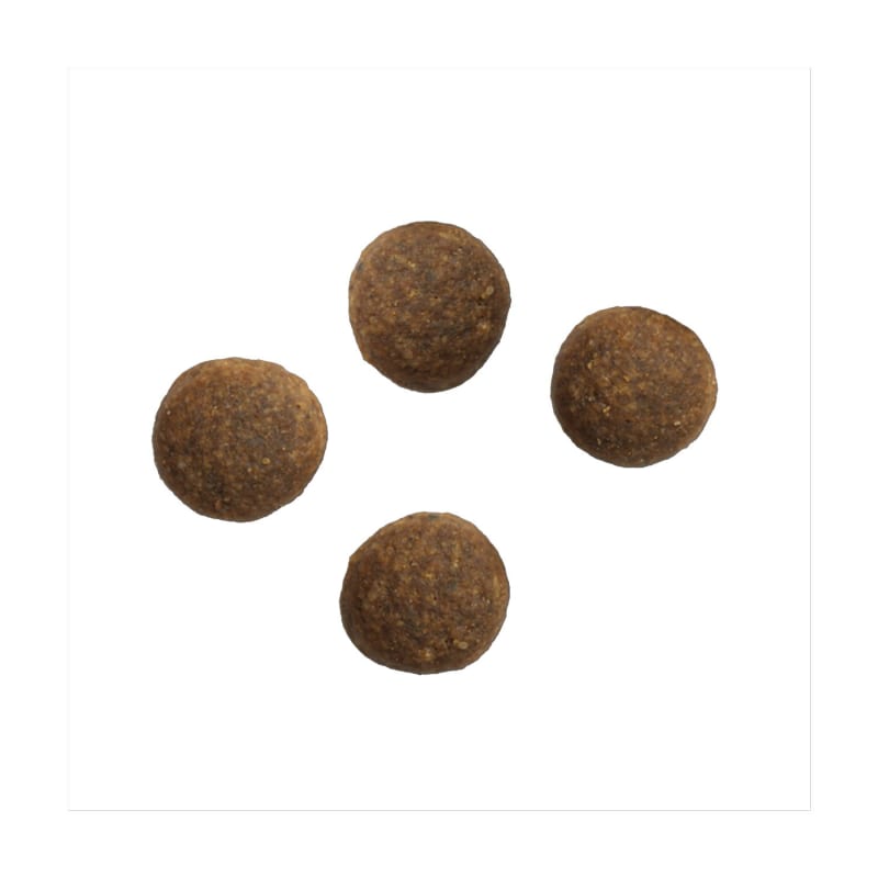 Crave dog food first bag free hotsell