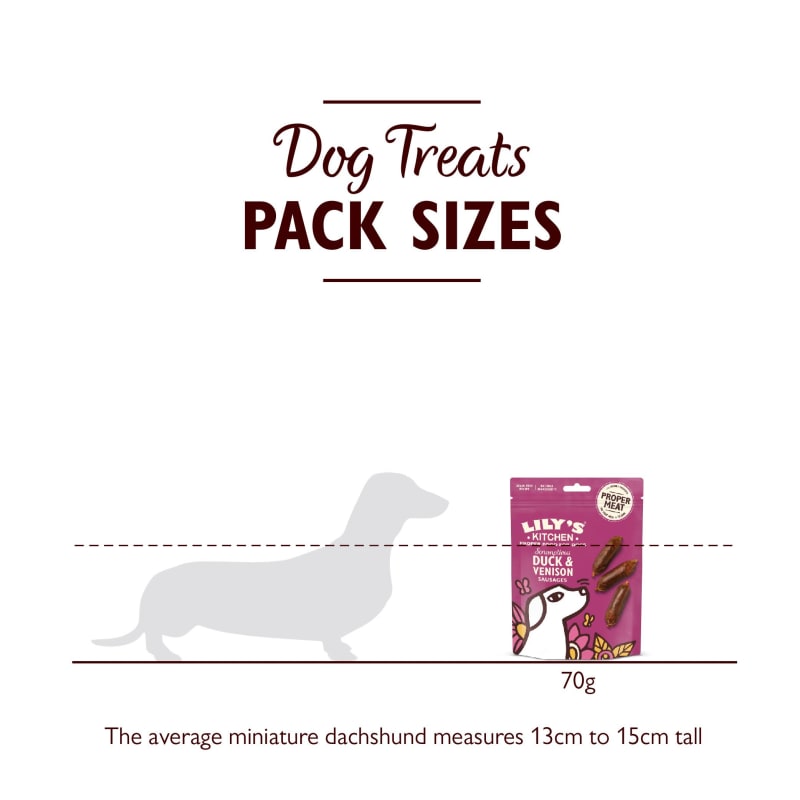 Lily's kitchen dog food feeding guide top