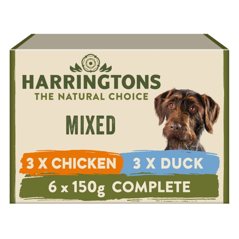 Mixing grain free and regular dog food 2025