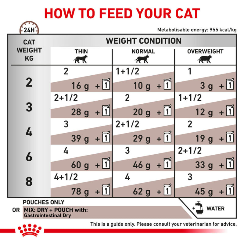 Royal canin prescription cat food discount