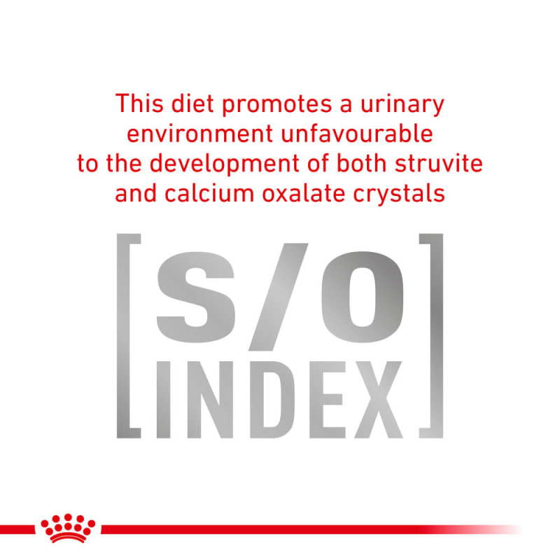Royal canin gastrointestinal high energy canned cat food discount