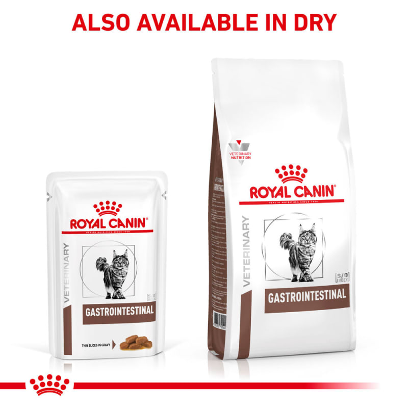 Royal canin gastrointestinal cat wet best sale