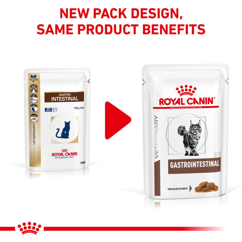 Feline gastro intestinal royal canin best sale