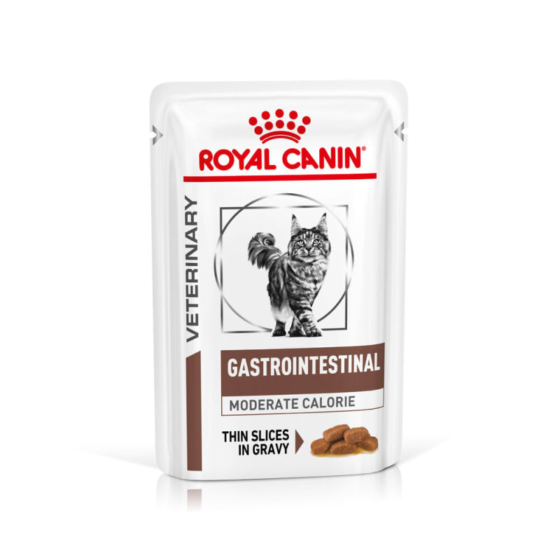 Alternative to royal canin gastrointestinal cat food 2025