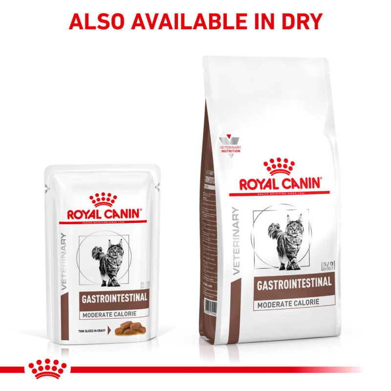 Royal canin gastro sales intestinal dog food tins