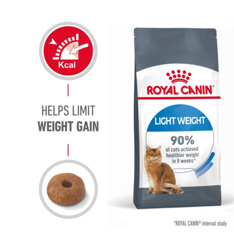 Cat food to help gain weight sale