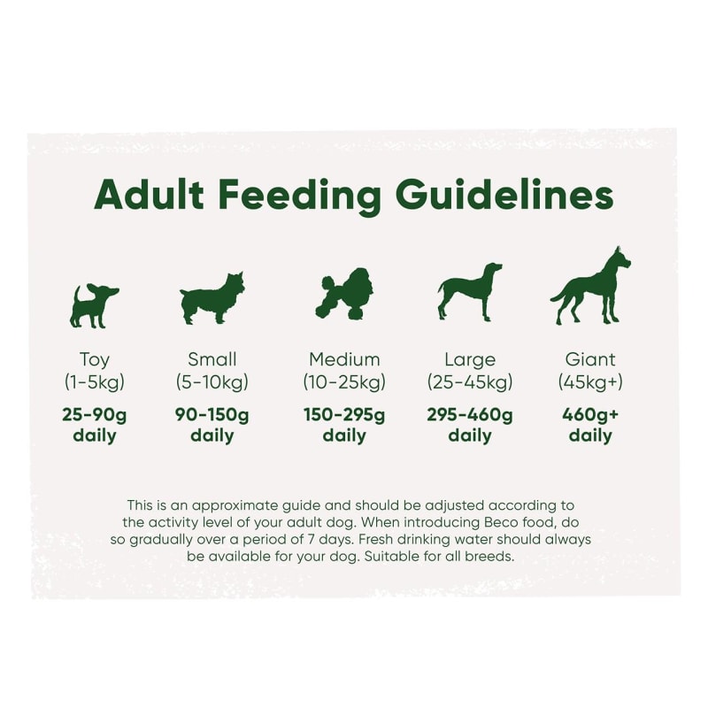 Beco Pets Grain free Adult Dry Dog Pet Supermarket