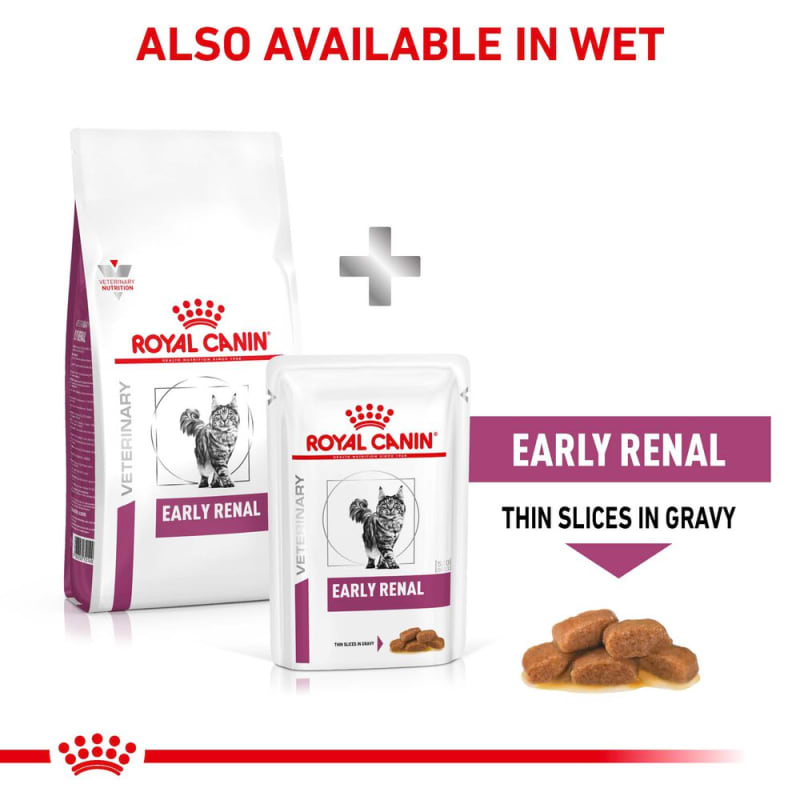 Royal canin renal dog food pouches online