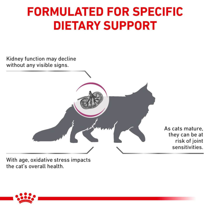 Early renal diet cat shop