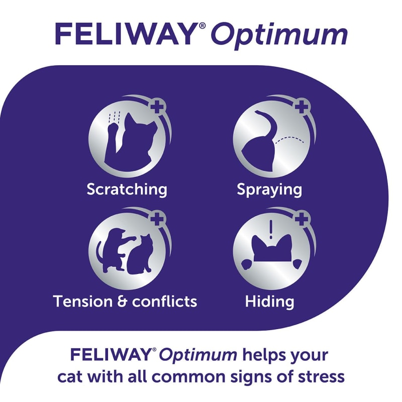 Feliway for scratching shop