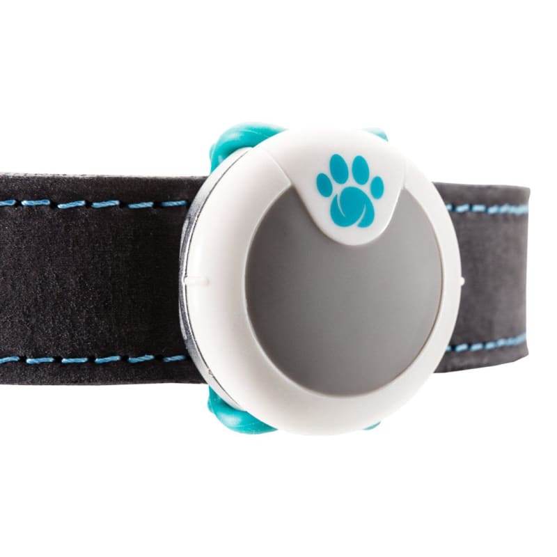 Animo activity tracker discount