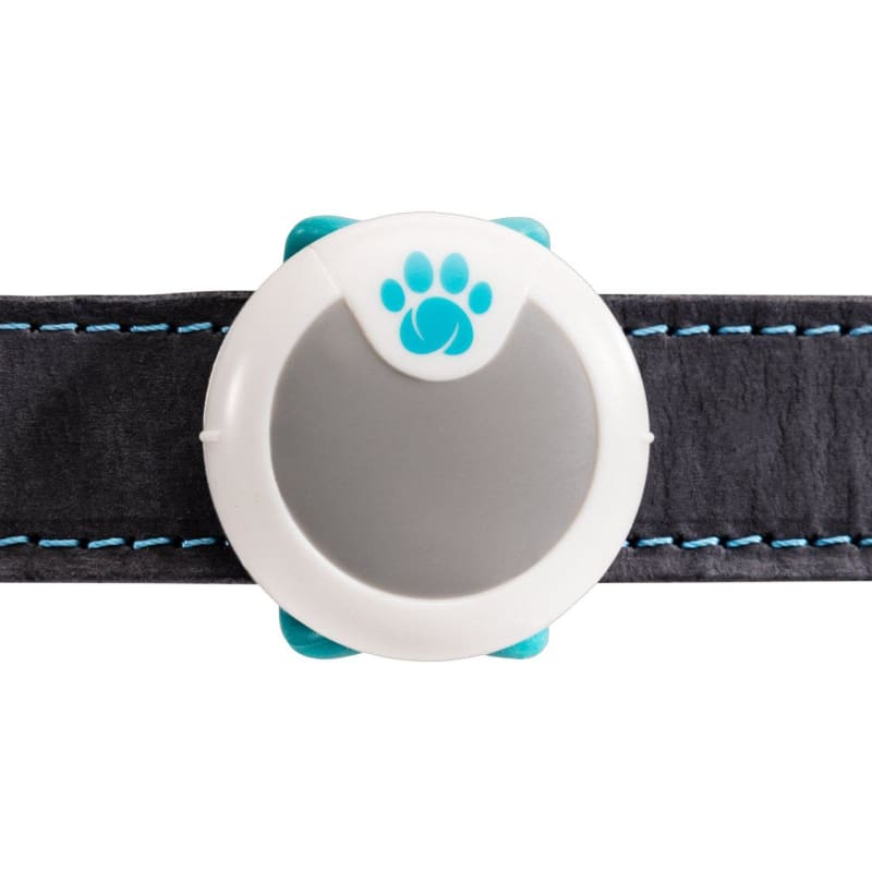 Animo outlet sure petcare