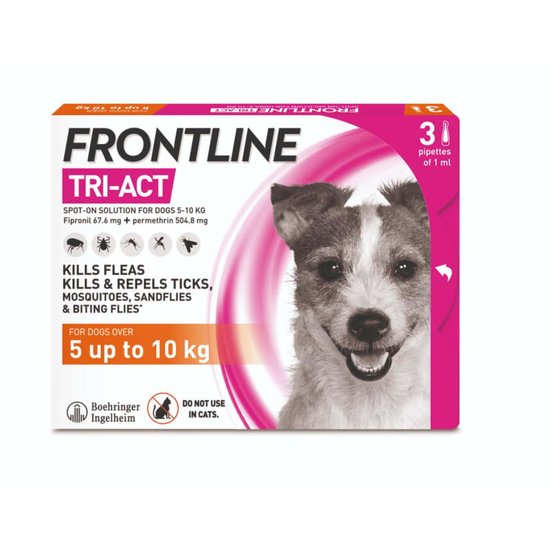 Frontline small dog 6 pack shop best price