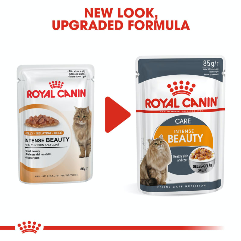 Royal cheap canin intense