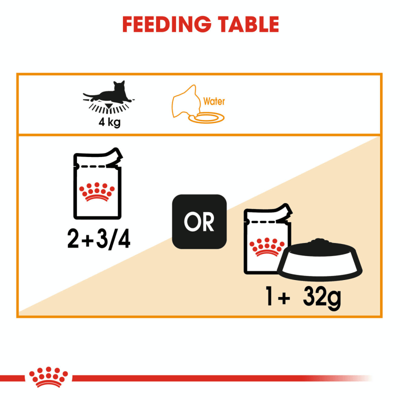 Royal canin intense beauty in jelly clearance