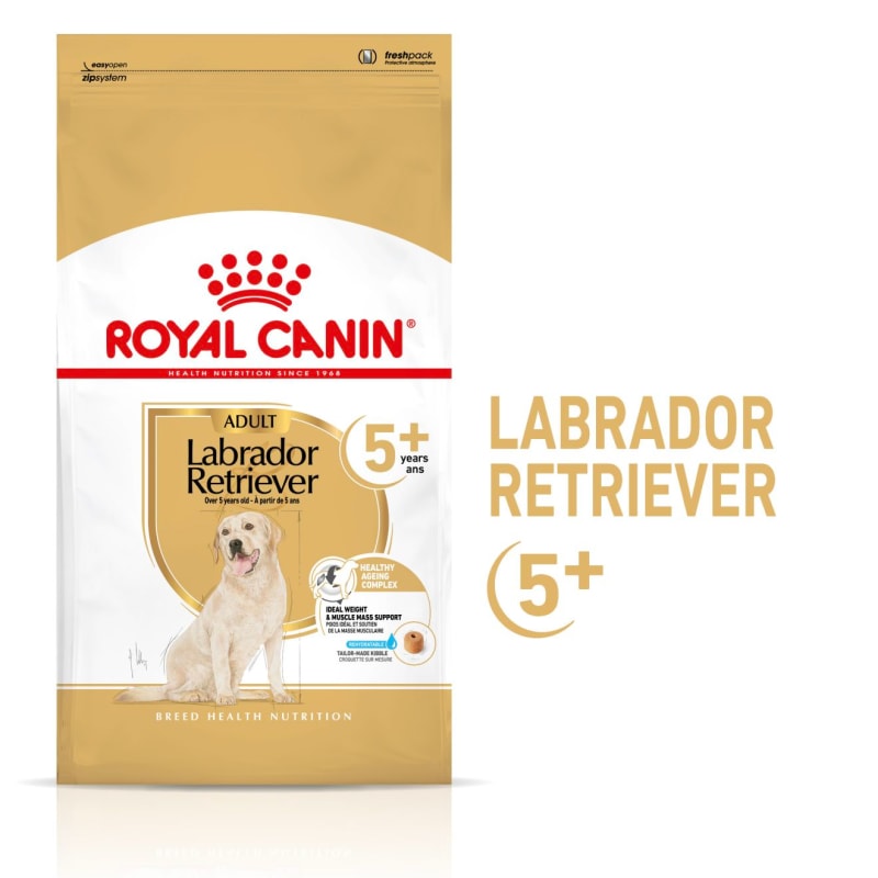 Royal canin shop for labs