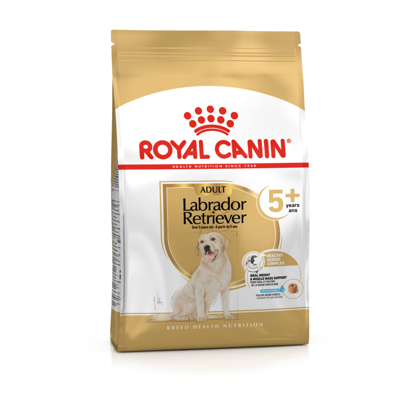 Foods for on sale labrador