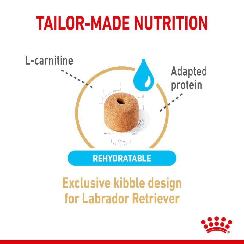 Royal canin labrador senior shop