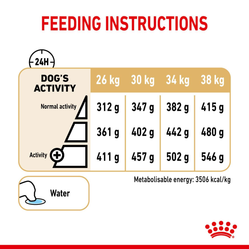 Royal canin sales labrador adult 12kg