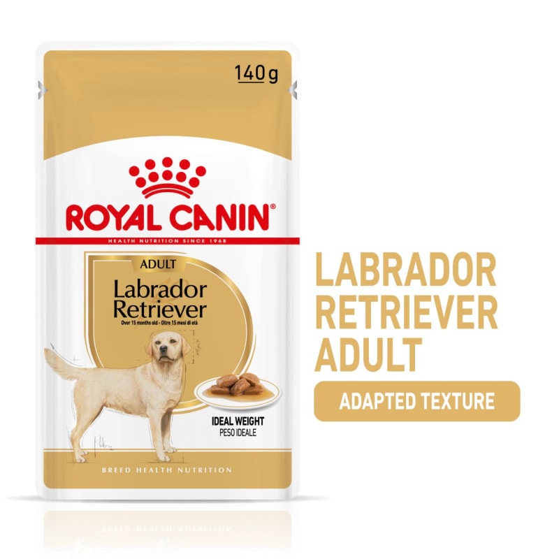 Labrador royal online canin