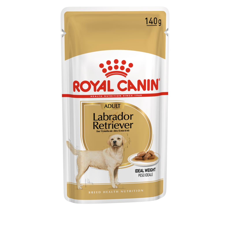 Retriever dog food hotsell