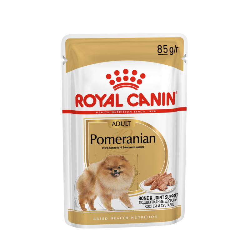 Best food to feed pomeranian hot sale