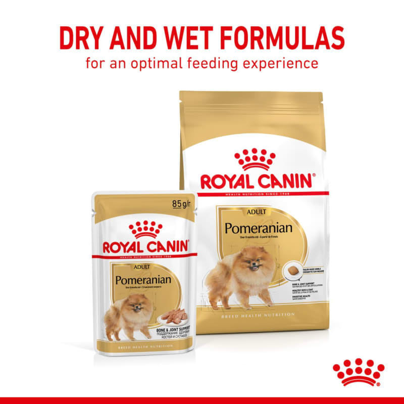 Royal Canin Breed Health Nutrition Pomeranian Wet Pet Food for Dog 12 x 85g Loaf in Gravy