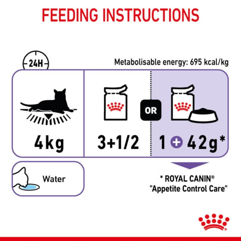 Royal canin appetite deals control 4kg