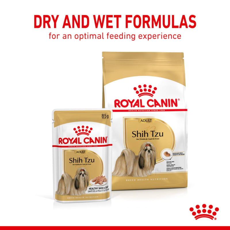 Royal canin breed health nutrition shih tzu adult dry online dog food