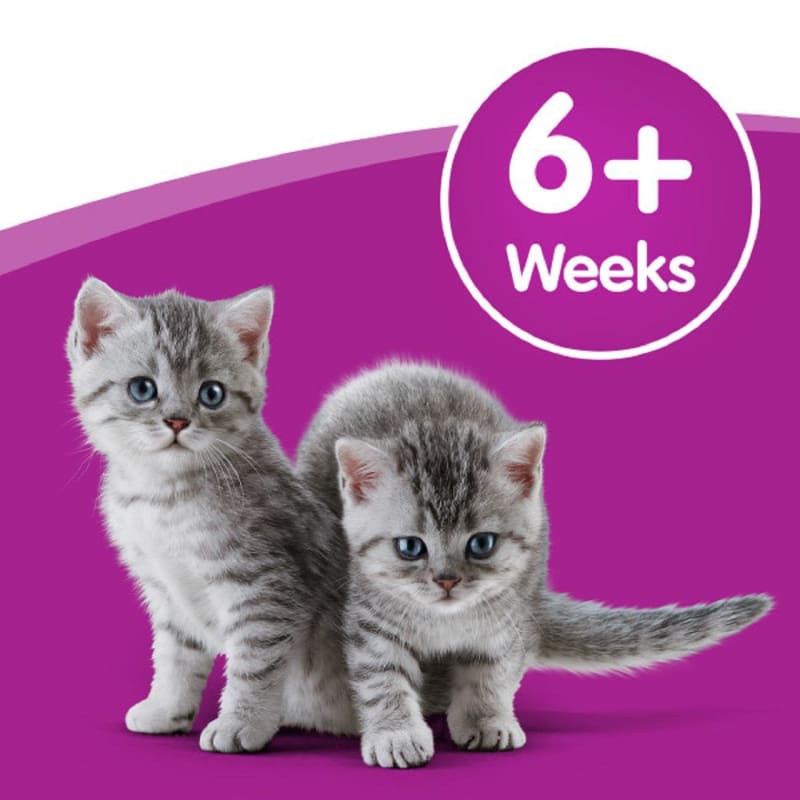Whiskas cat breed store