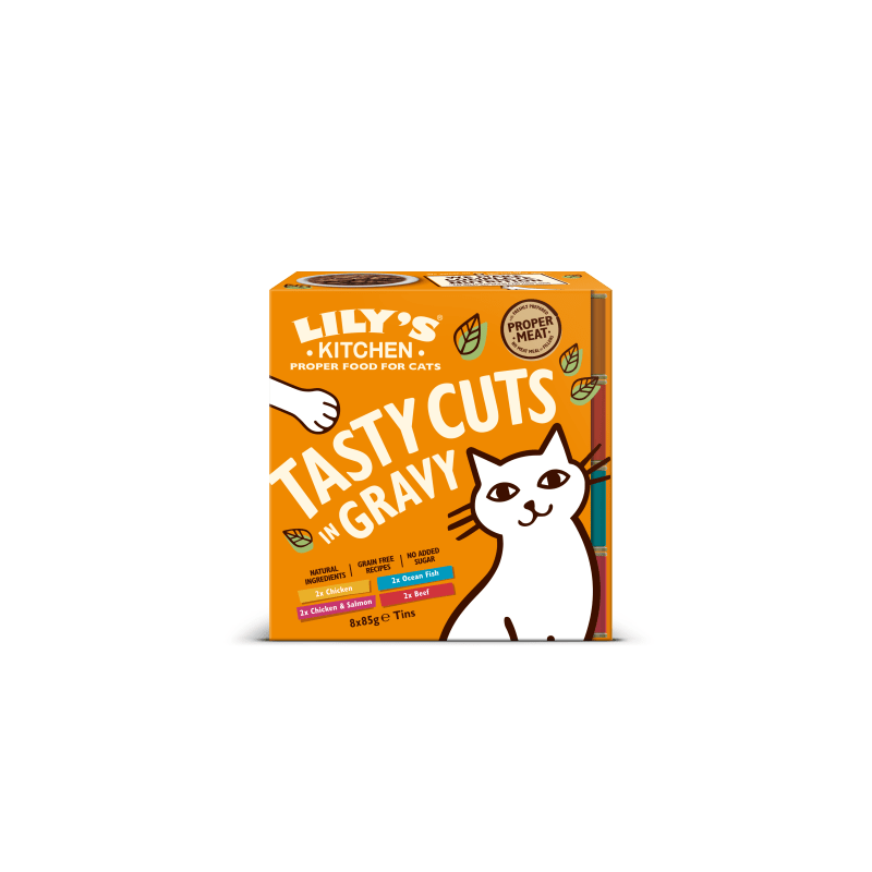 Lily's kitchen dry deals cat food 2kg