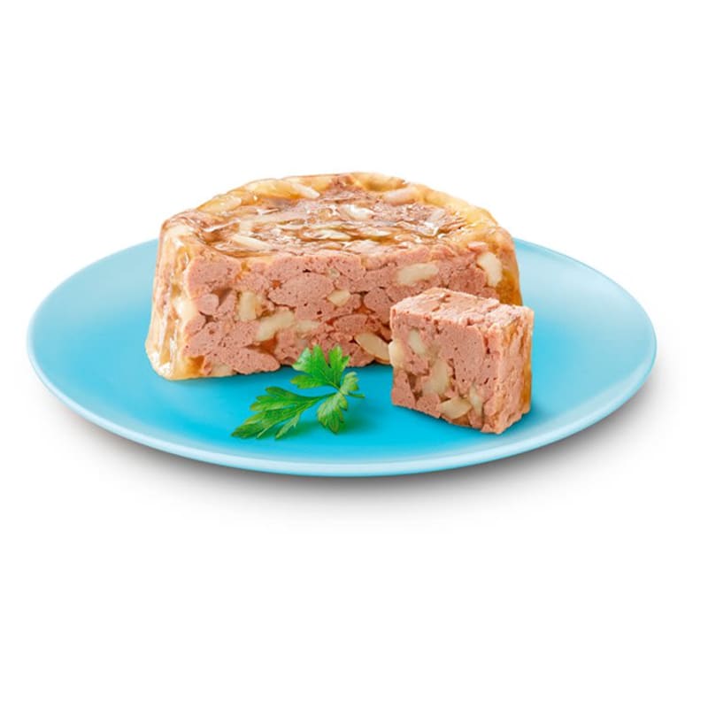 Cesar Senior 10 Wet Dog Food Pet Supermarket