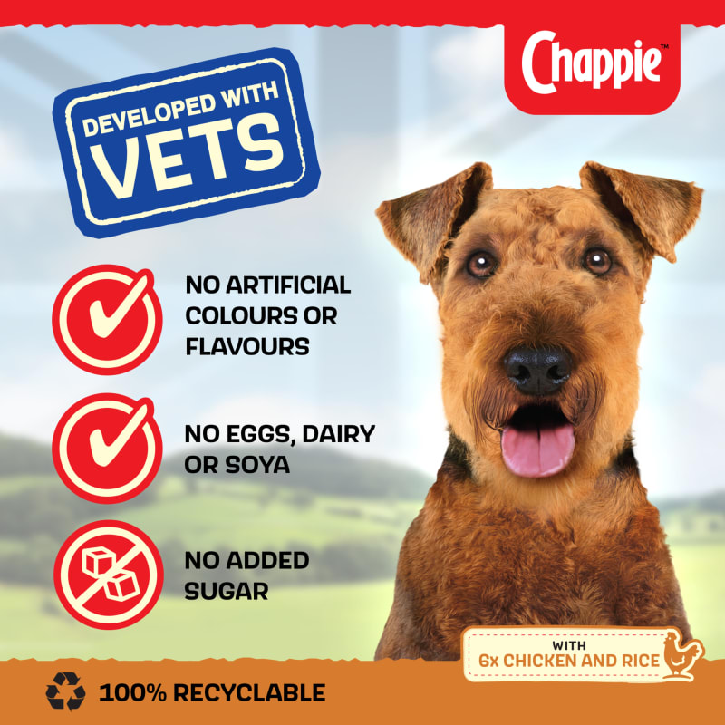 Chappie Adult Wet Dog Food Chicken Pet Supermarket