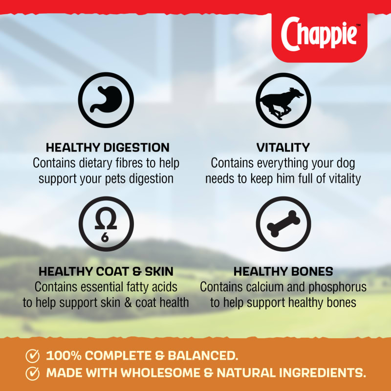 Chappie Adult Wet Dog Food Chicken Pet Supermarket