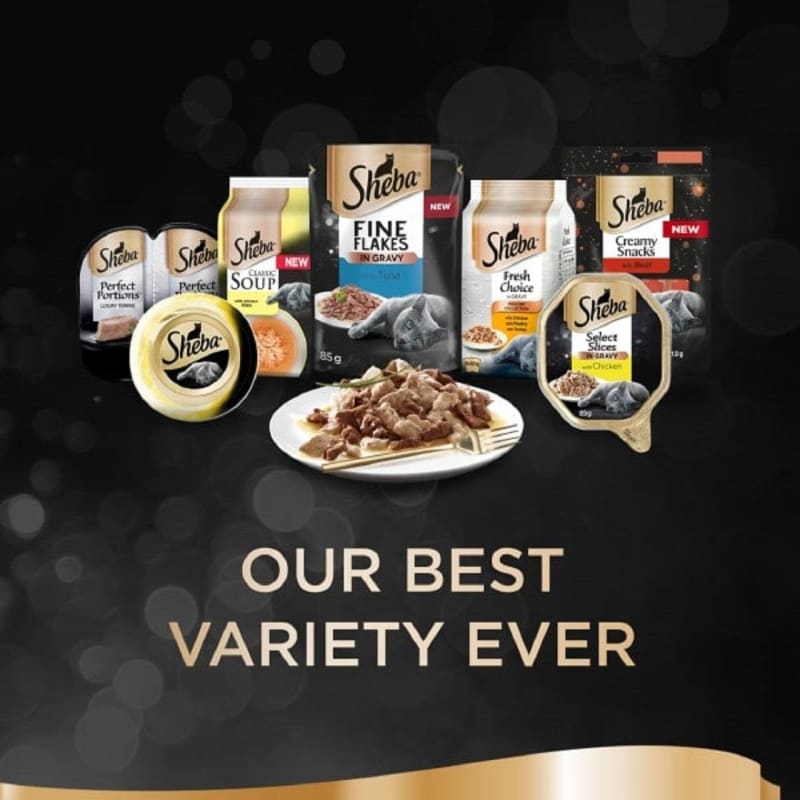 Sheba store soup offers