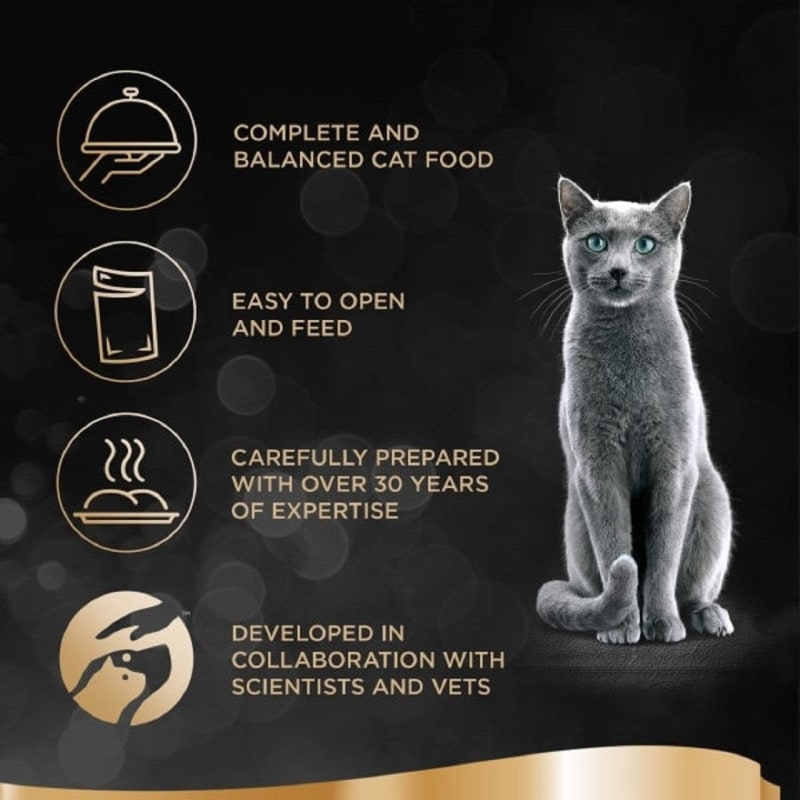 Pets at home sheba cat food sale